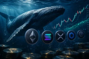 Altcoinler Açıklandı 2026’da Hangi Coinler Öne Çıkıyor?